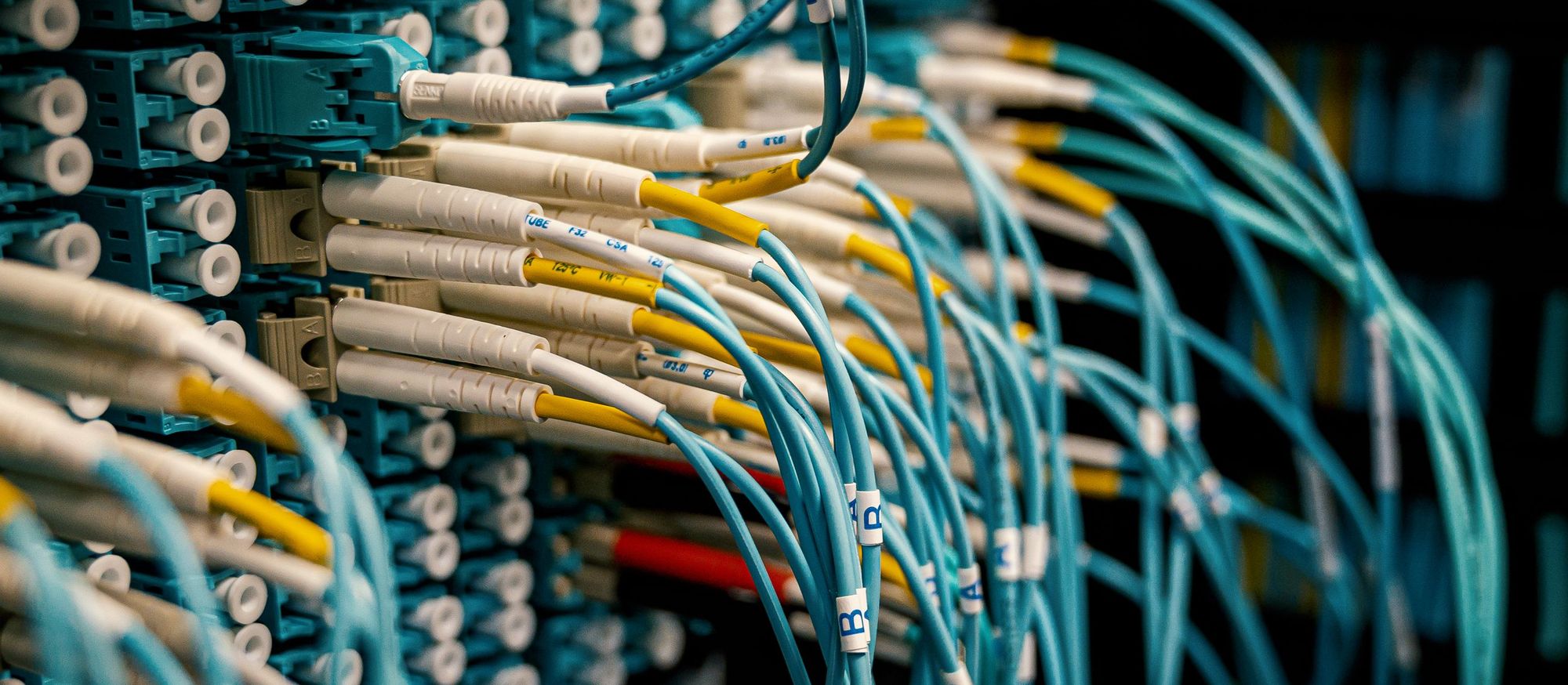 Fibre-optic patch cables connected to a network rack